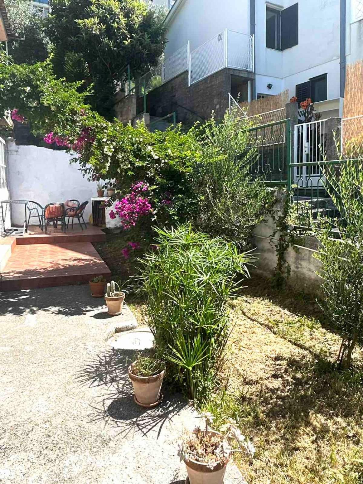 Apartments Maya Herceg Novi Exterior foto