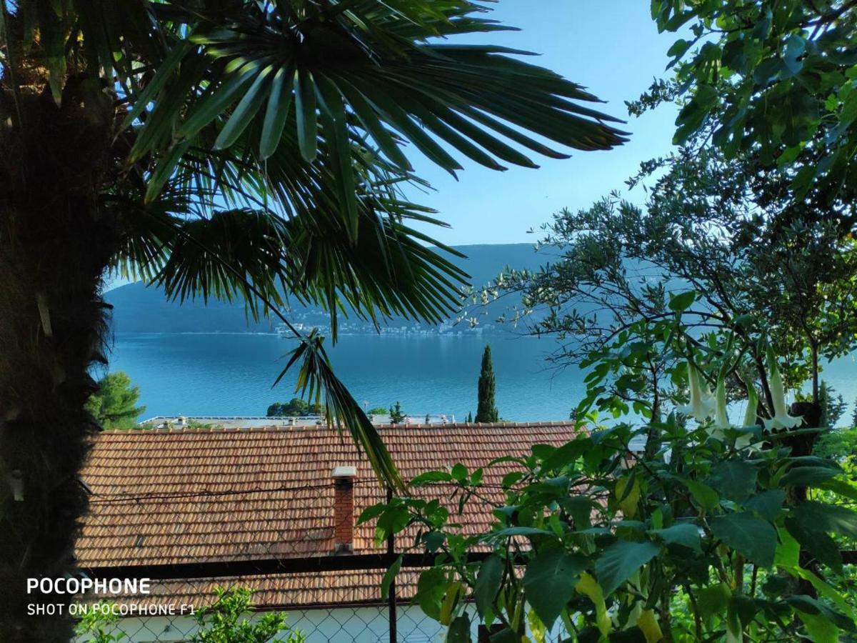 Apartments Maya Herceg Novi Exterior foto